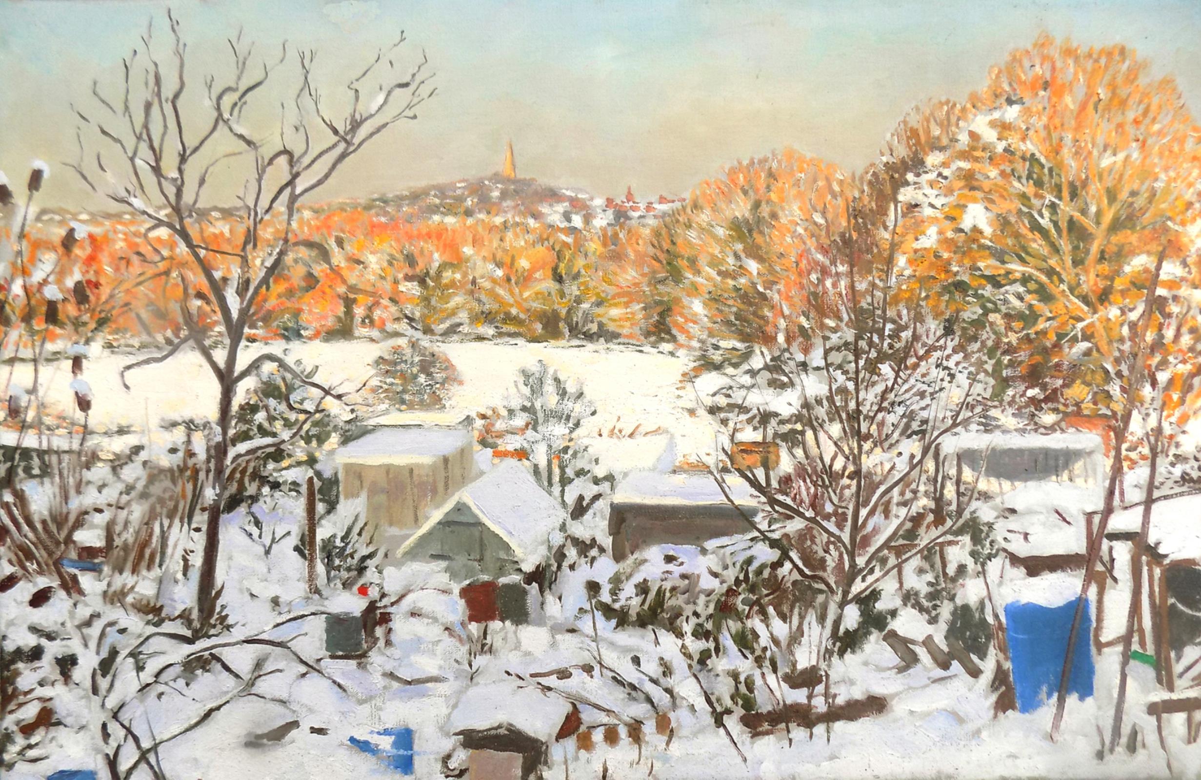 Allotments, Snow, Towards Muswell Hill