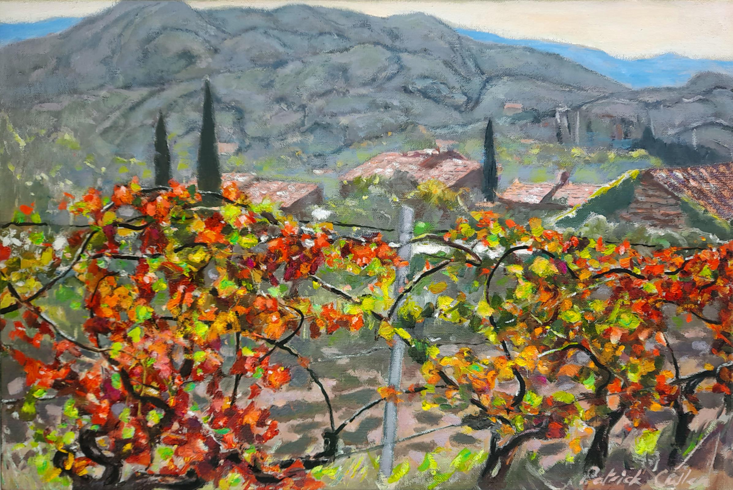 Red Vines, Les Alpilles, Provence