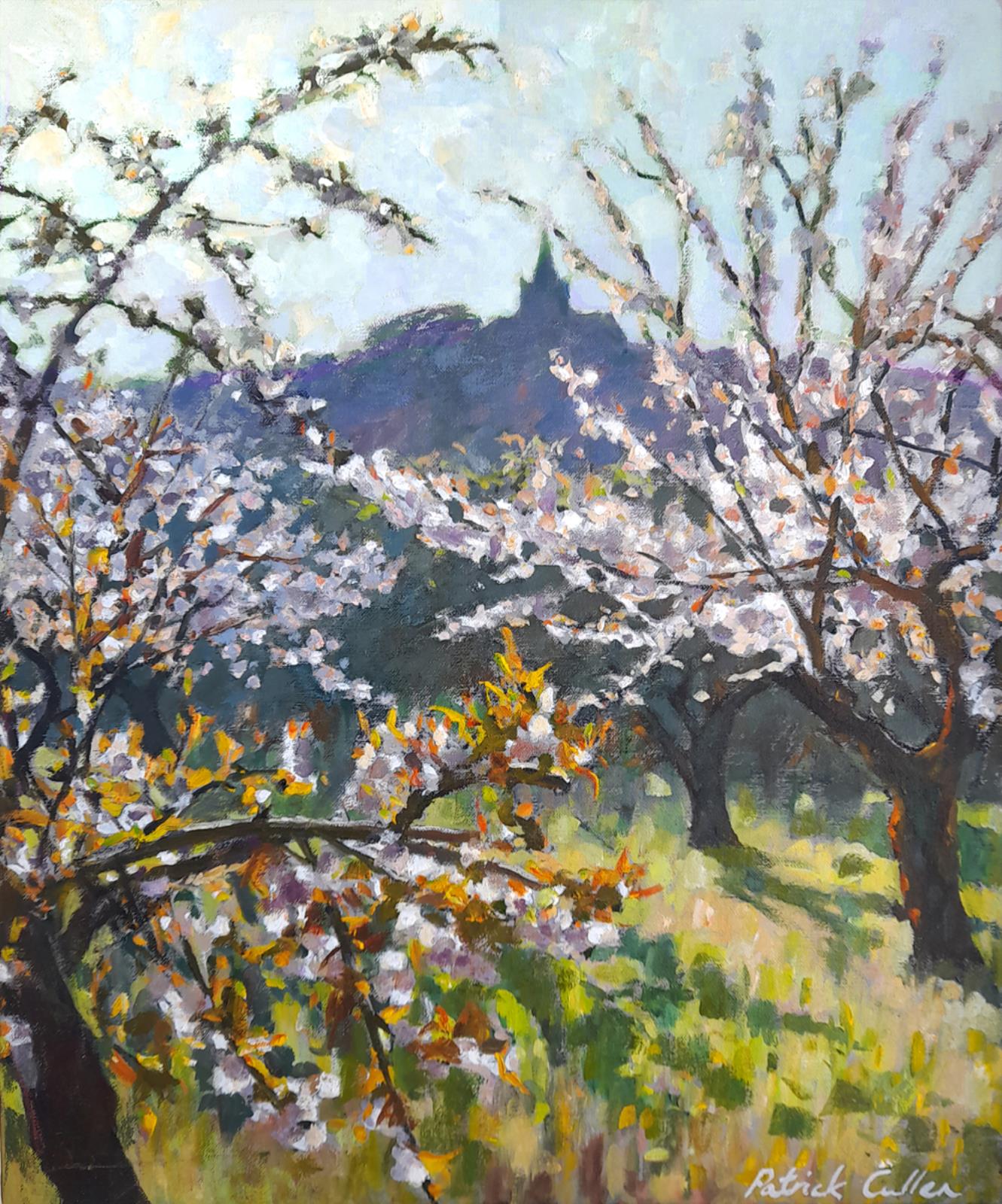 Cherry Trees near Bonnieux, Provence
