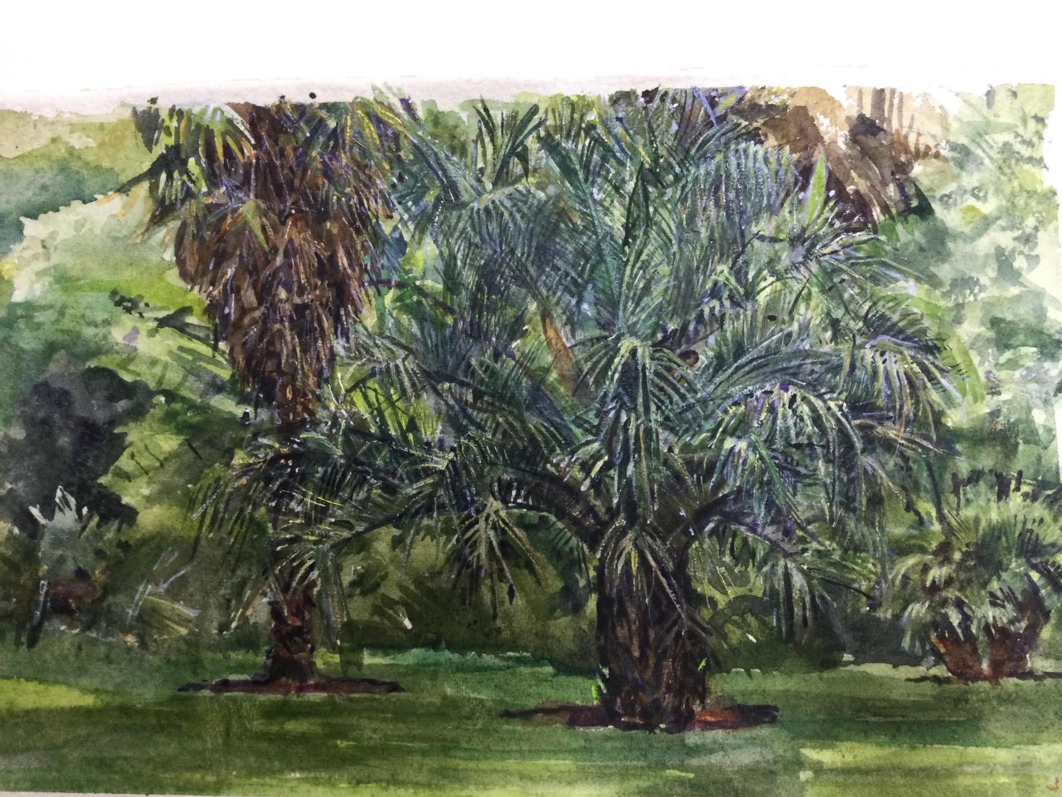 Monocots, Chelsea Physic Garden.