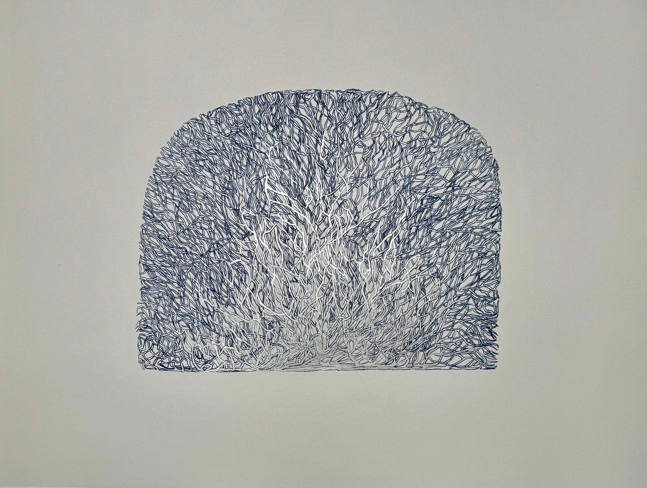 Where Light whispers