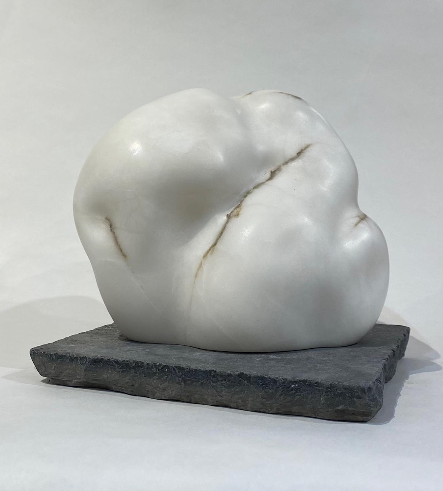 The Anatomy of a Cloud