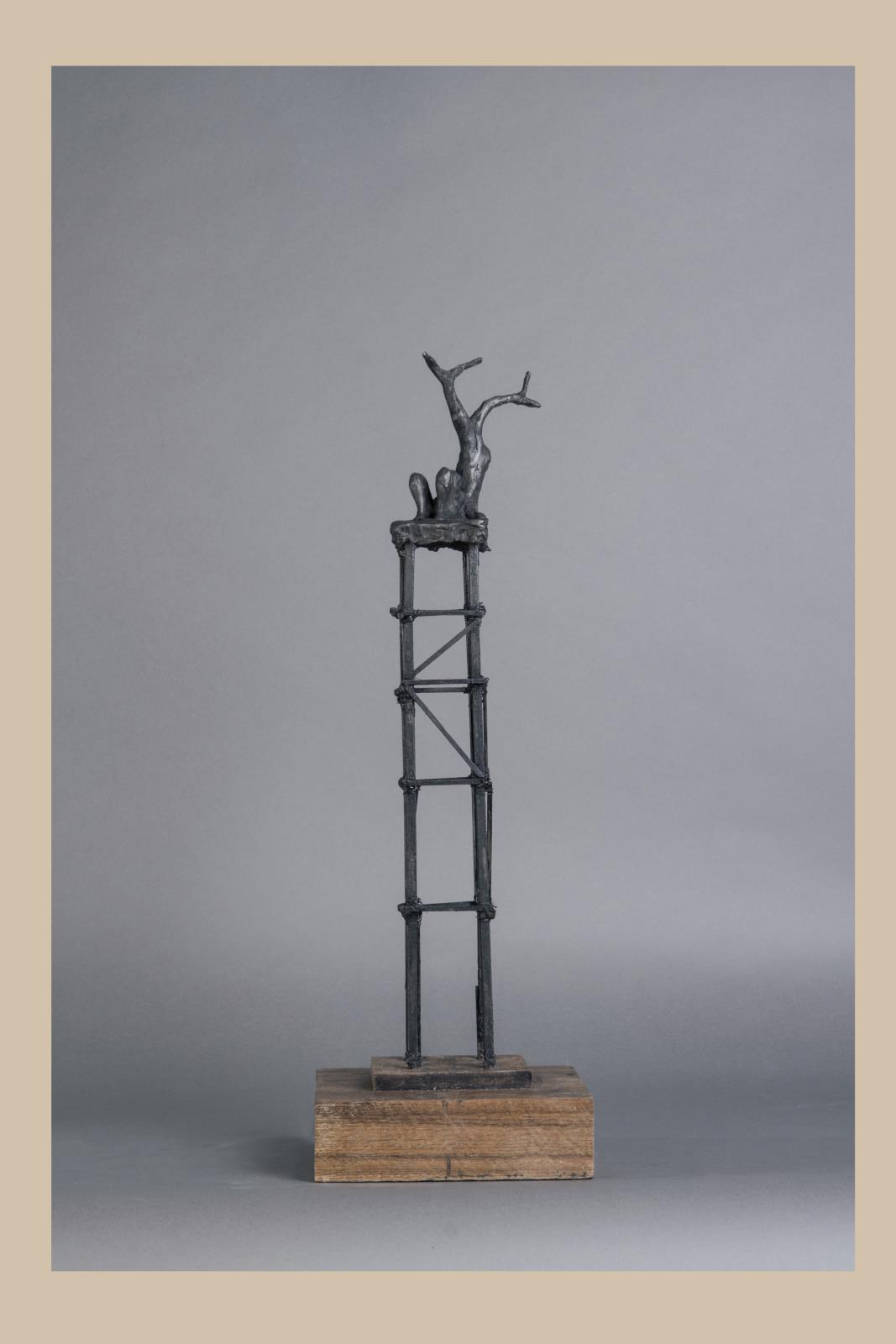 Listening to the Trees