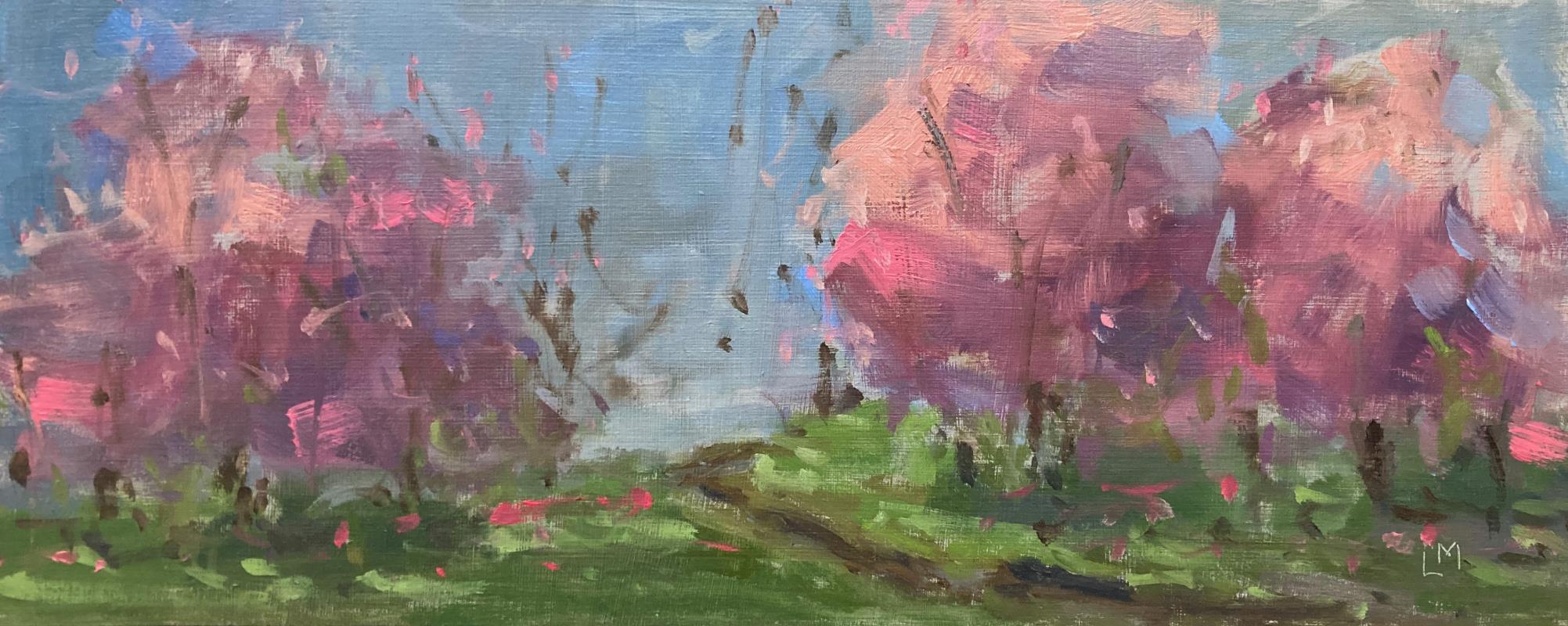 Pink Blossom in Battersea Park