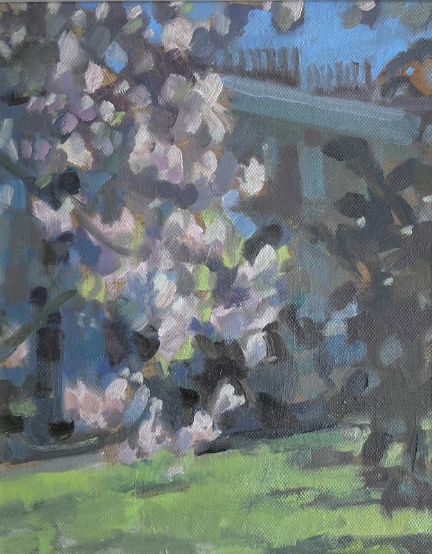 Magnolia - Paultons Square 