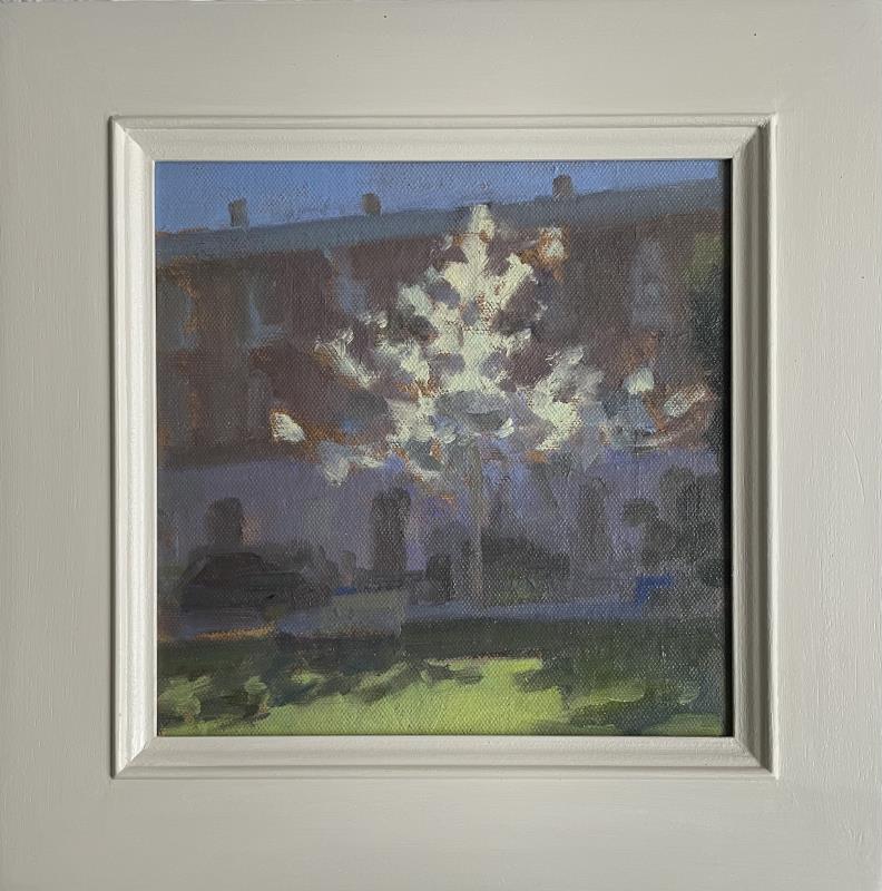 Paultons Square - Late Afternoon Spring Light 