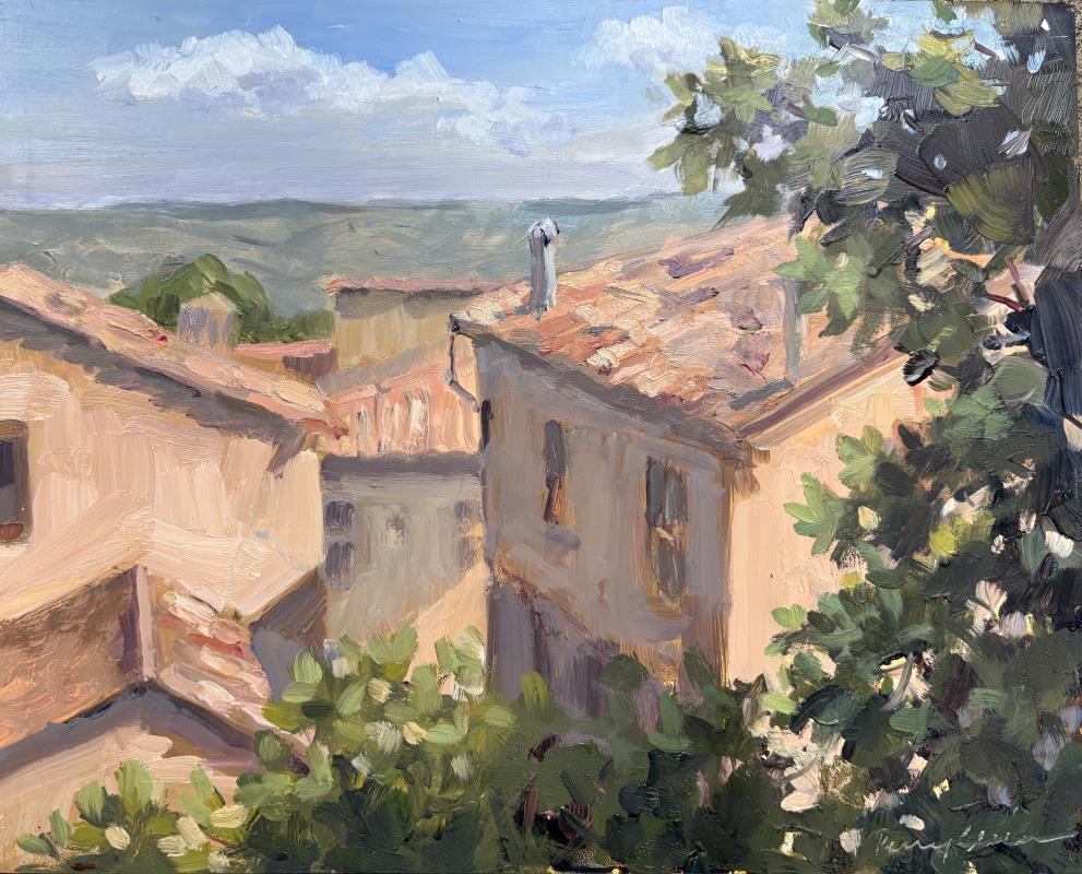 Italian rooftops