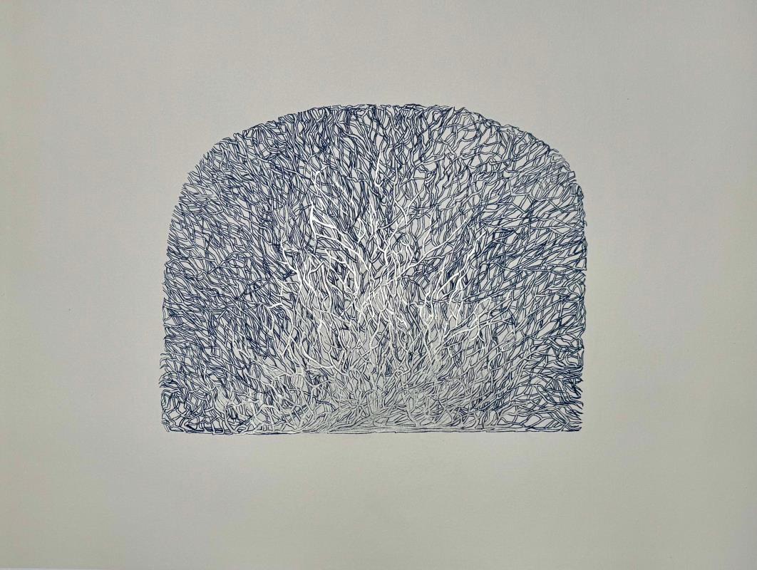 Where Light whispers