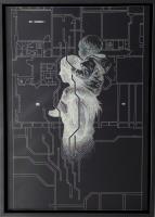 Child Support Network 