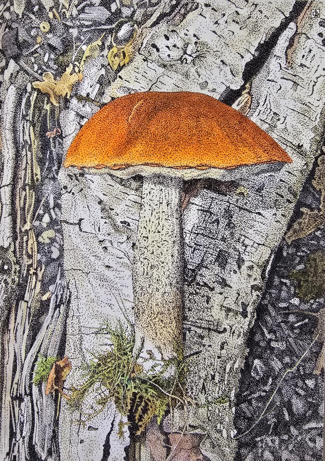 Orange Birch Bolete
