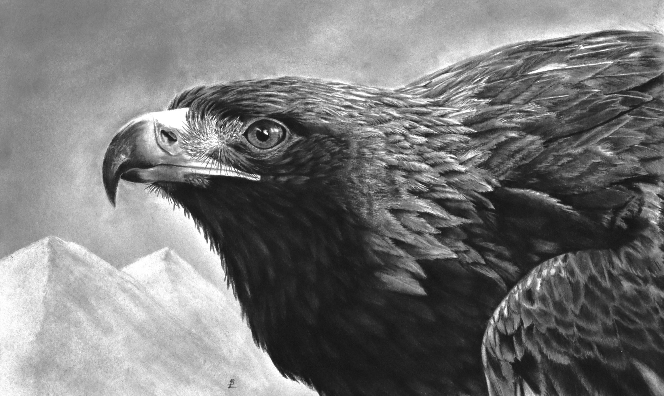 Daughter of the Boundless Sky