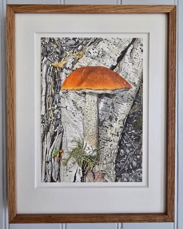 Orange Birch Bolete