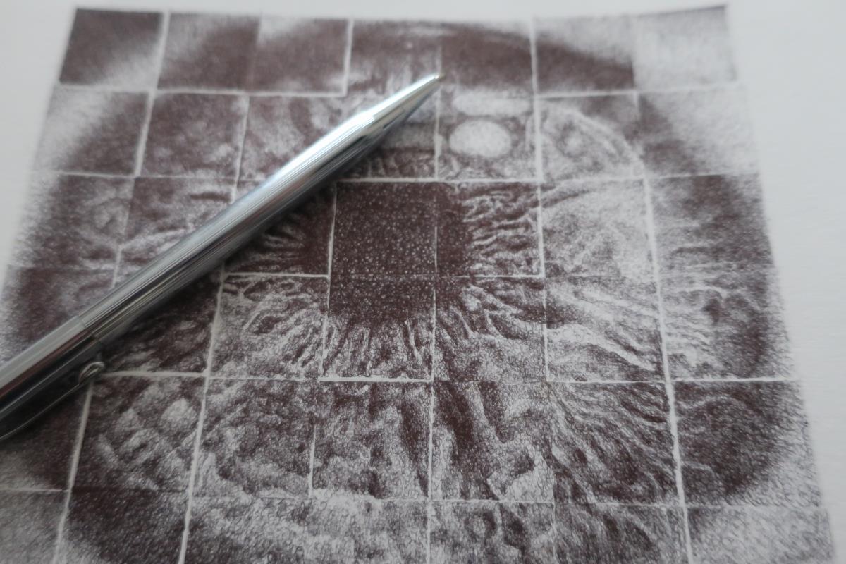 Eye Study (Reference image by Kalea Jerielle)