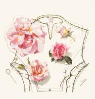 The Dressmakers Bodice Inspiration