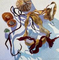 Found Beachcombing 4