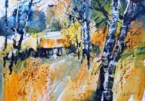 Shed Amongst the Birch