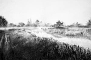 Still Morning, River Wey