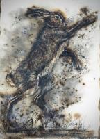 The Rising Fighting Spirti