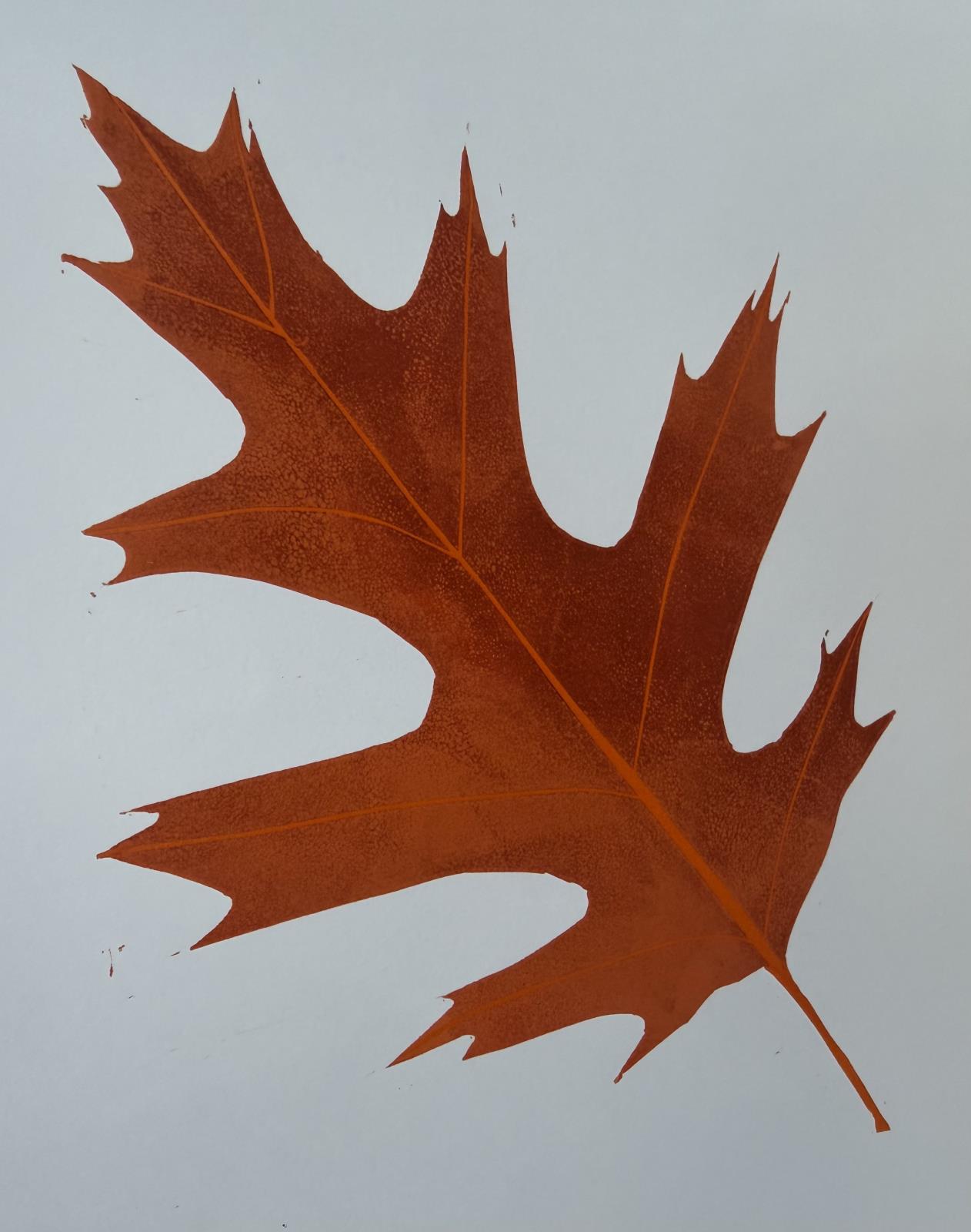 Portrait of a leaf
