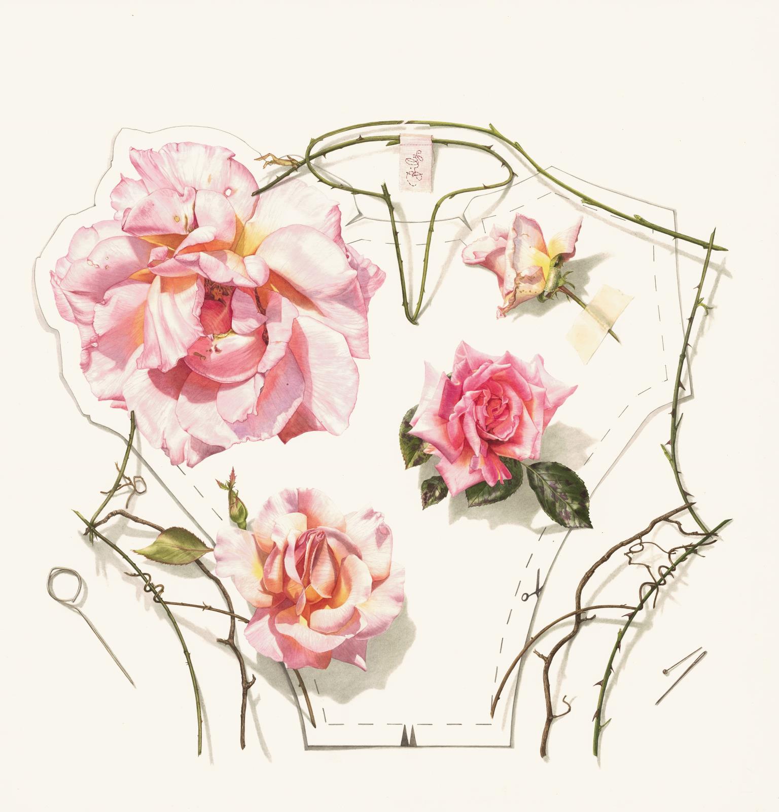 The Dressmakers Bodice Inspiration