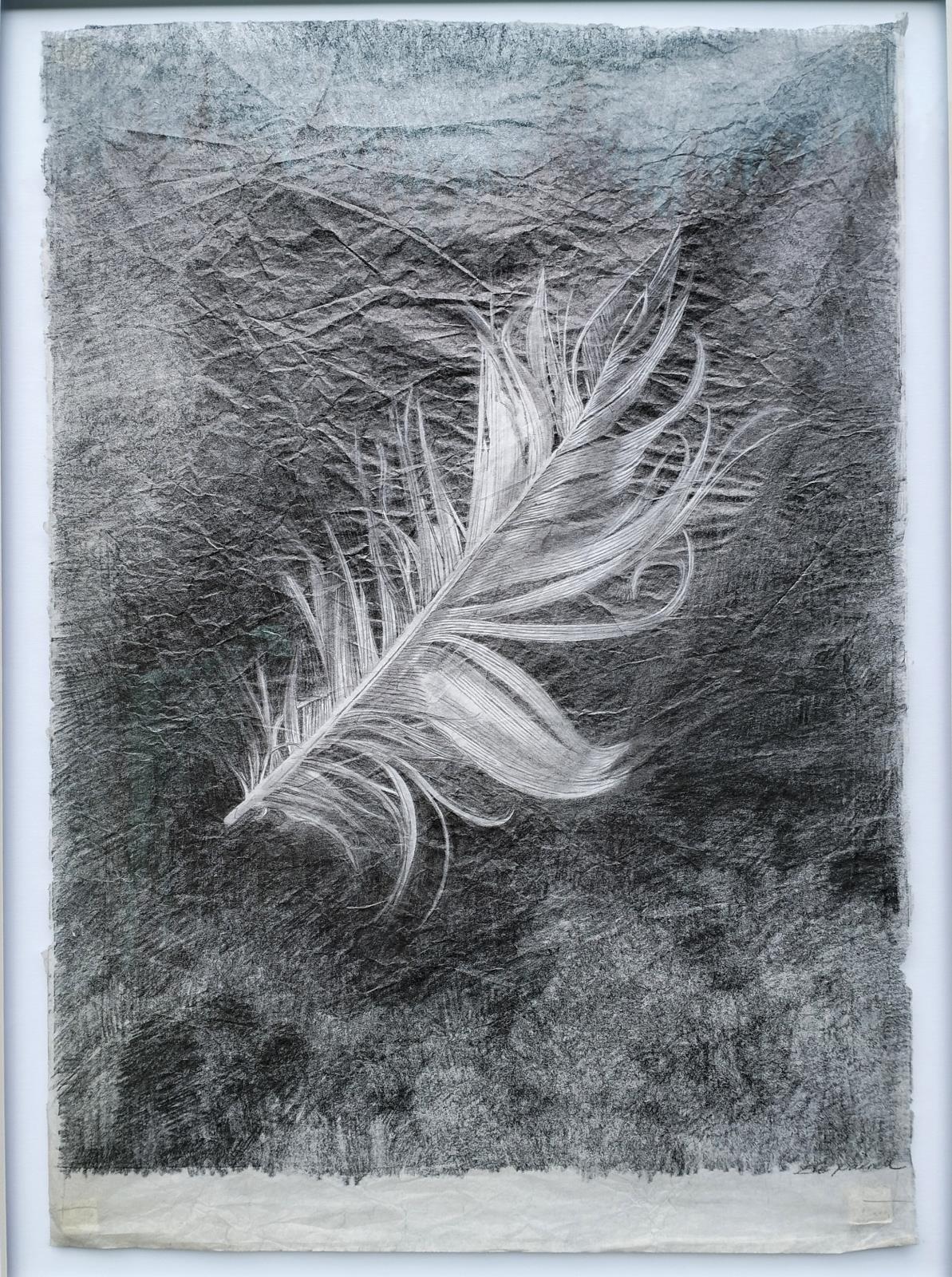 Found Feather Study 