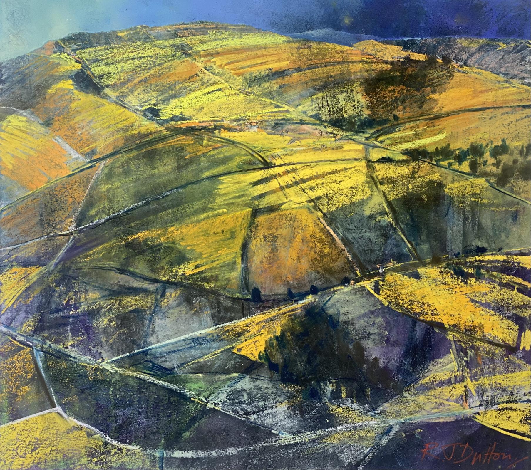 Hillside - evening light