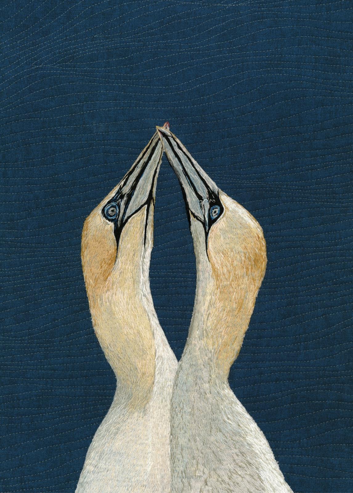 'The Union' Gannets
