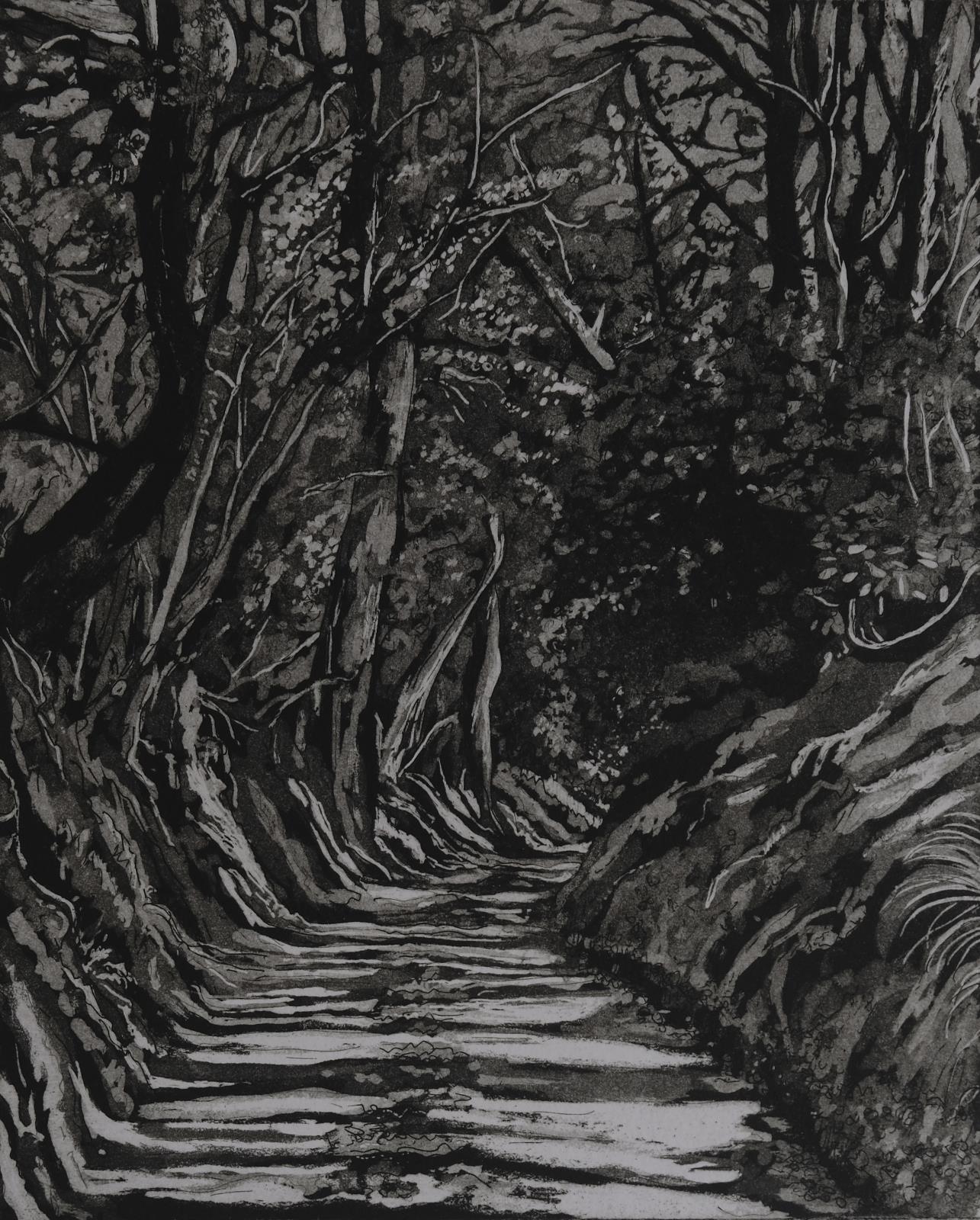 Tree Shadows on Radnor Lane