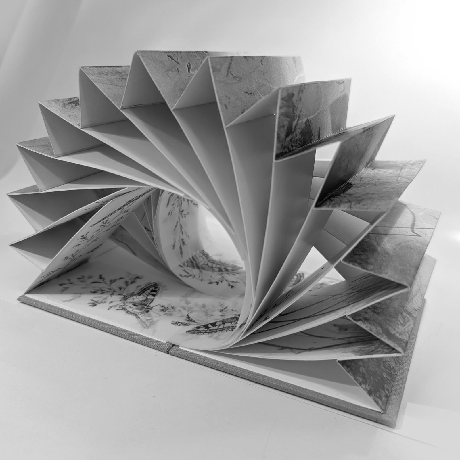 Field Notes 006 ~ Meadow Flight