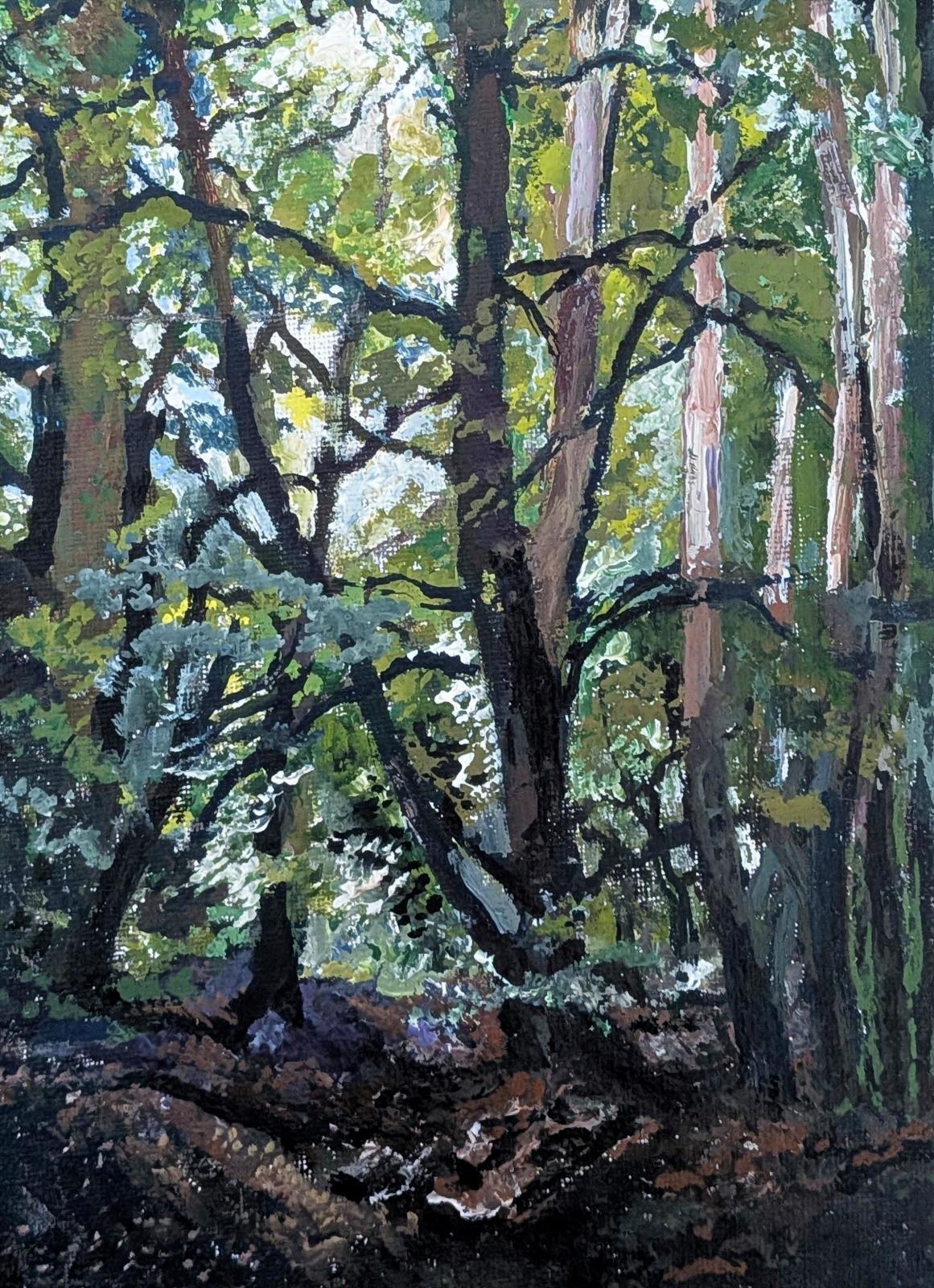 Leith Hill Woodlands