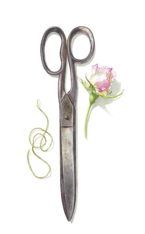 'The Dressmaker's Scissors'