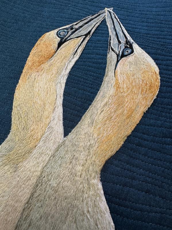 'The Union' Gannets