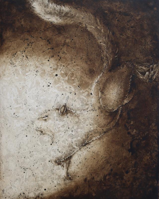 Mad enough to cry for an animal? Grey squirrel