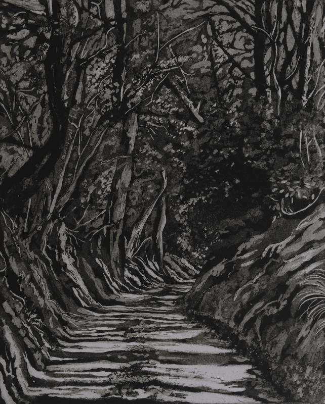 Tree Shadows on Radnor Lane