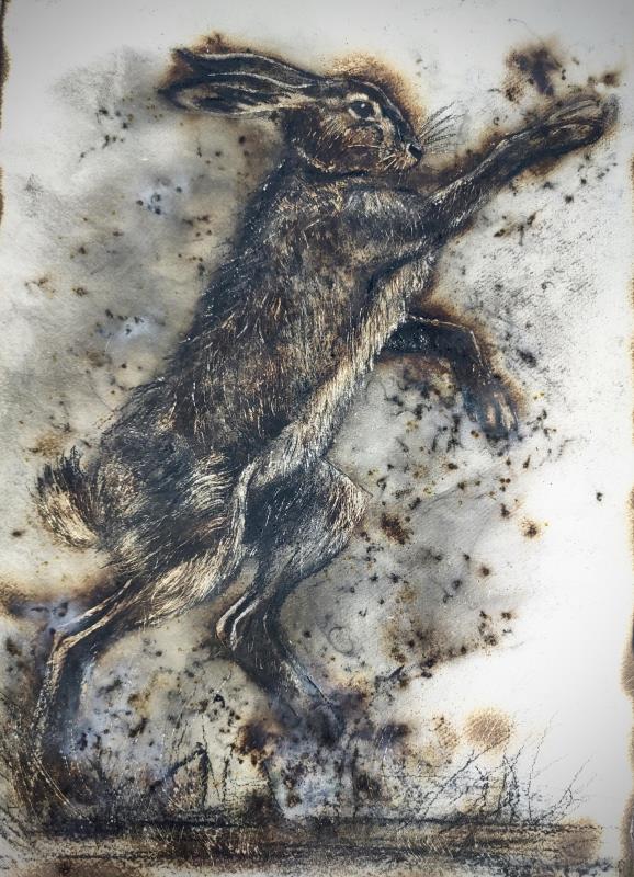 The Rising Fighting Spirti