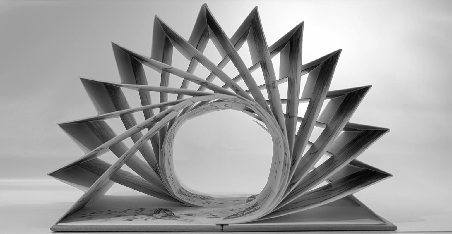 Field Notes 006 ~ Meadow Flight