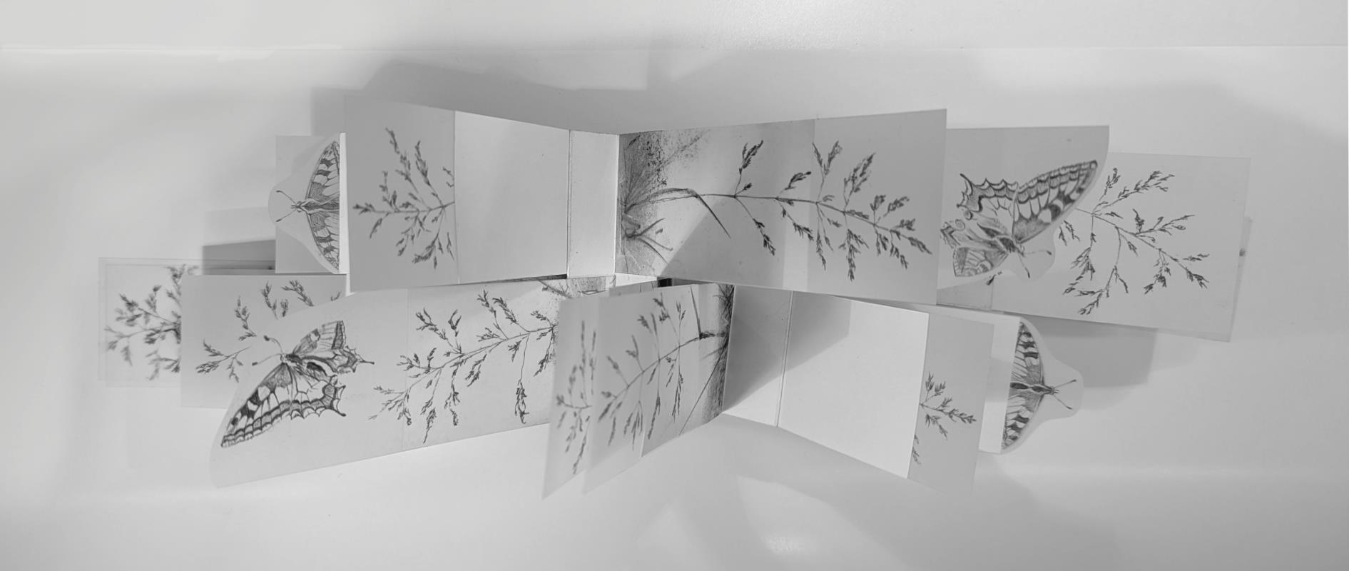 Field Notes 006 ~ Meadow Flight