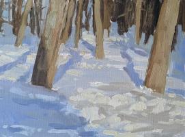 Snow in the woods
