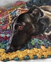 Blanket Buddy