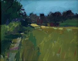 Sunlight on the Far Meadow