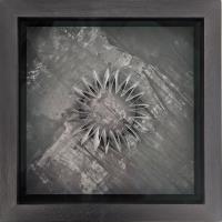 Glimpse FPS024