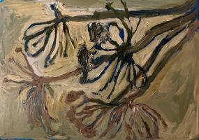 Stalks, Shadows