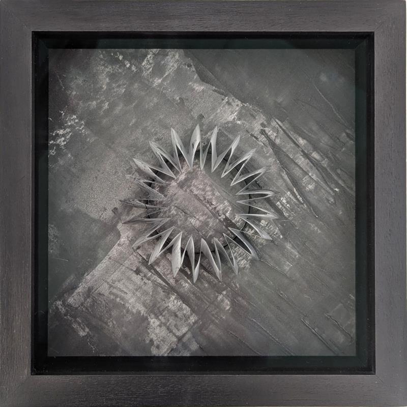 Glimpse FPS024