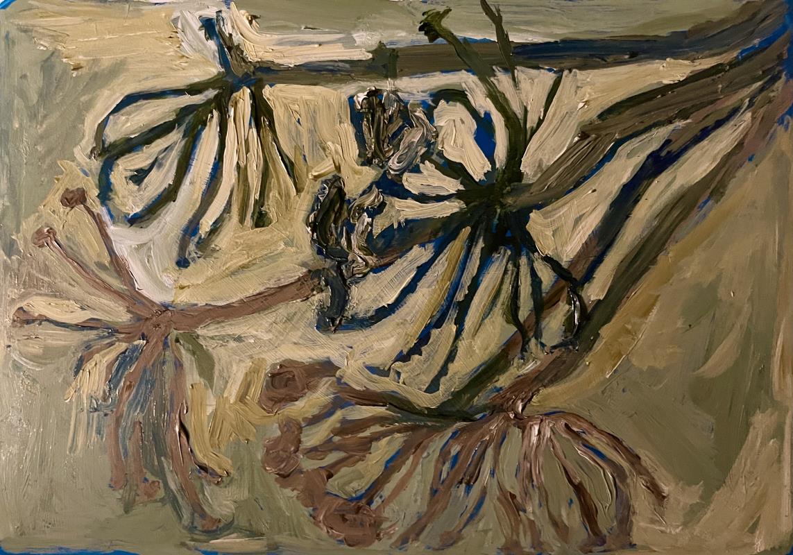 Stalks, Shadows