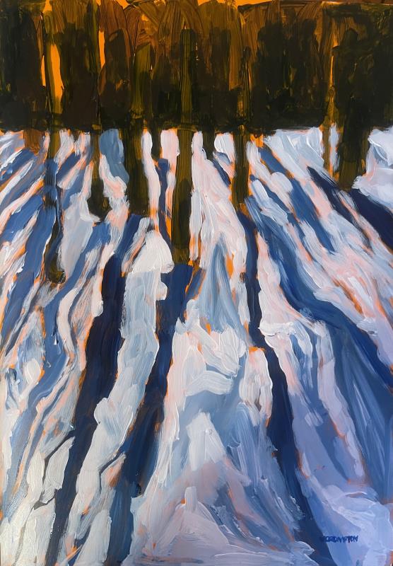 Woods, Snow