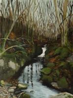 Shankill River at Cloughlea