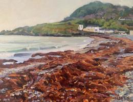 Seaweed on Bray Seafront