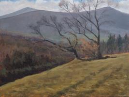 Winter light, Powerscourt
