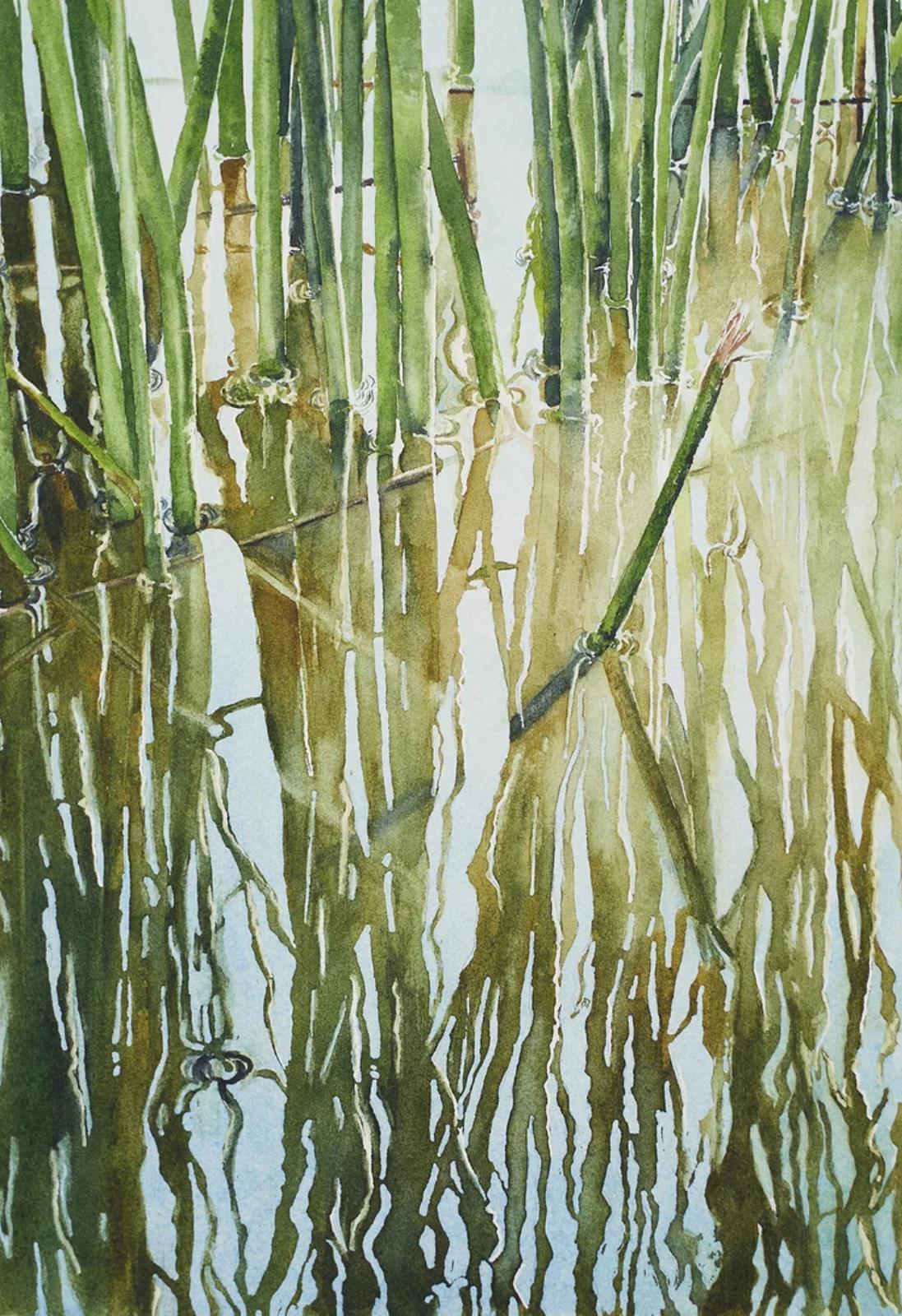 Reed Reflections