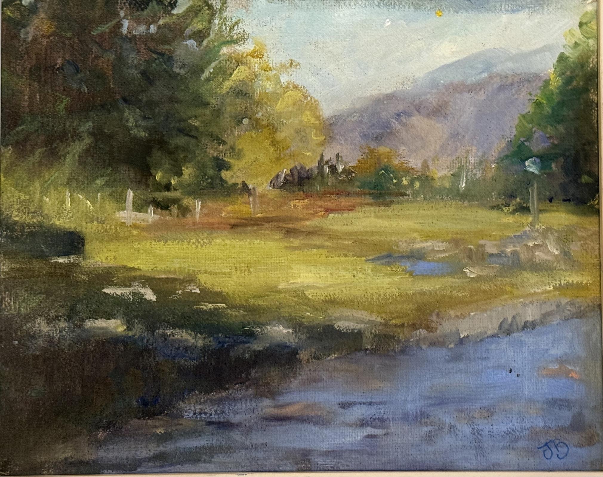 View to the Pyrenees 